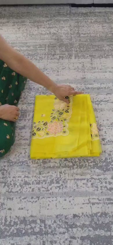 Banaras Tissue Silk Saree